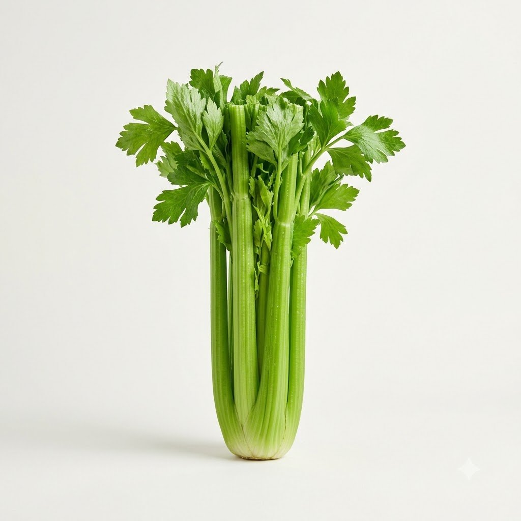 Celery
